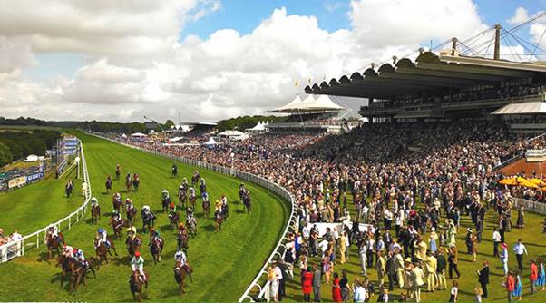 Image result for goodwood racecourse