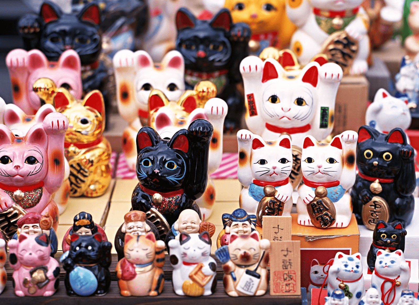 Cat Day in Japan